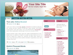 Wordpress Massage Therapy Theme